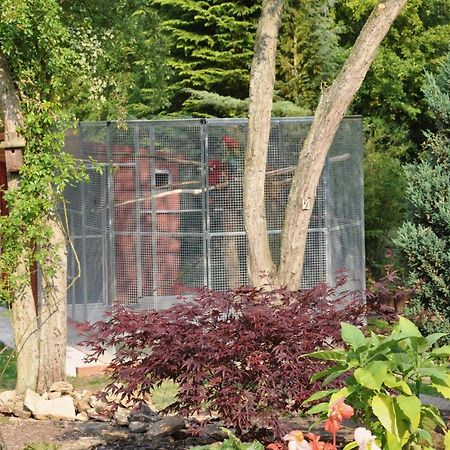 يورك The Willows Bed & Breakfast المظهر الخارجي الصورة