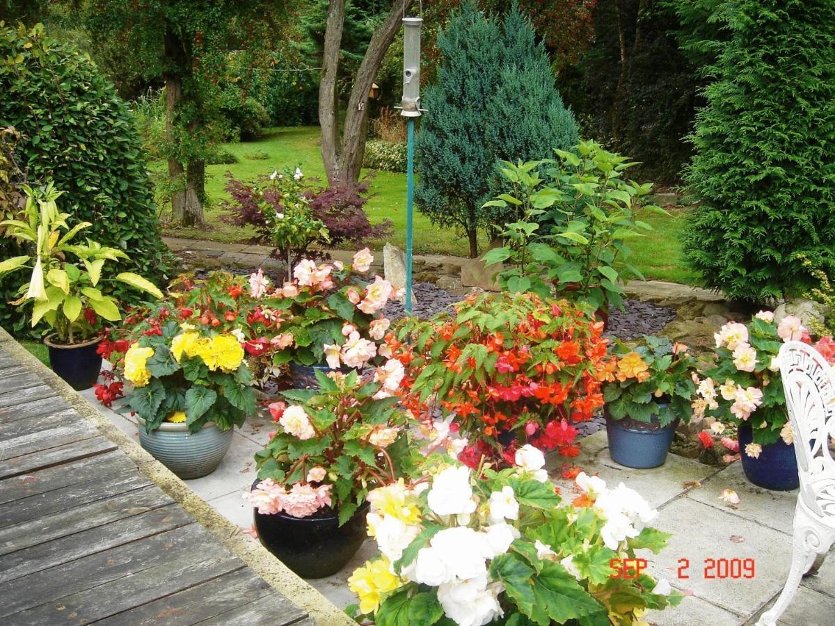يورك The Willows Bed & Breakfast المظهر الخارجي الصورة