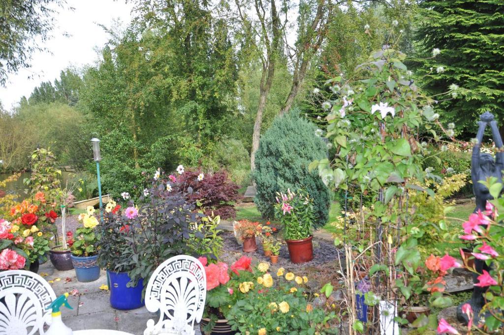 يورك The Willows Bed & Breakfast المظهر الخارجي الصورة
